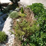 Buki Ploce (Dubrovnik-Neretva)