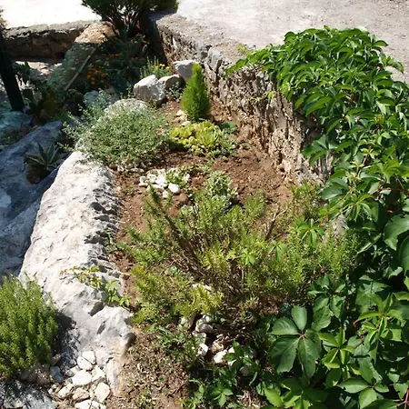 Buki Ploce (Dubrovnik-Neretva)